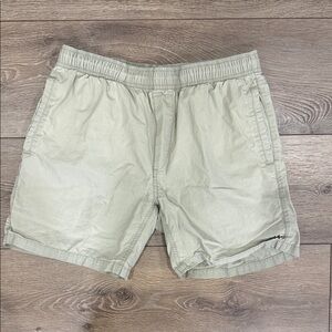 Men's Light Green/ Gray Board Shorts